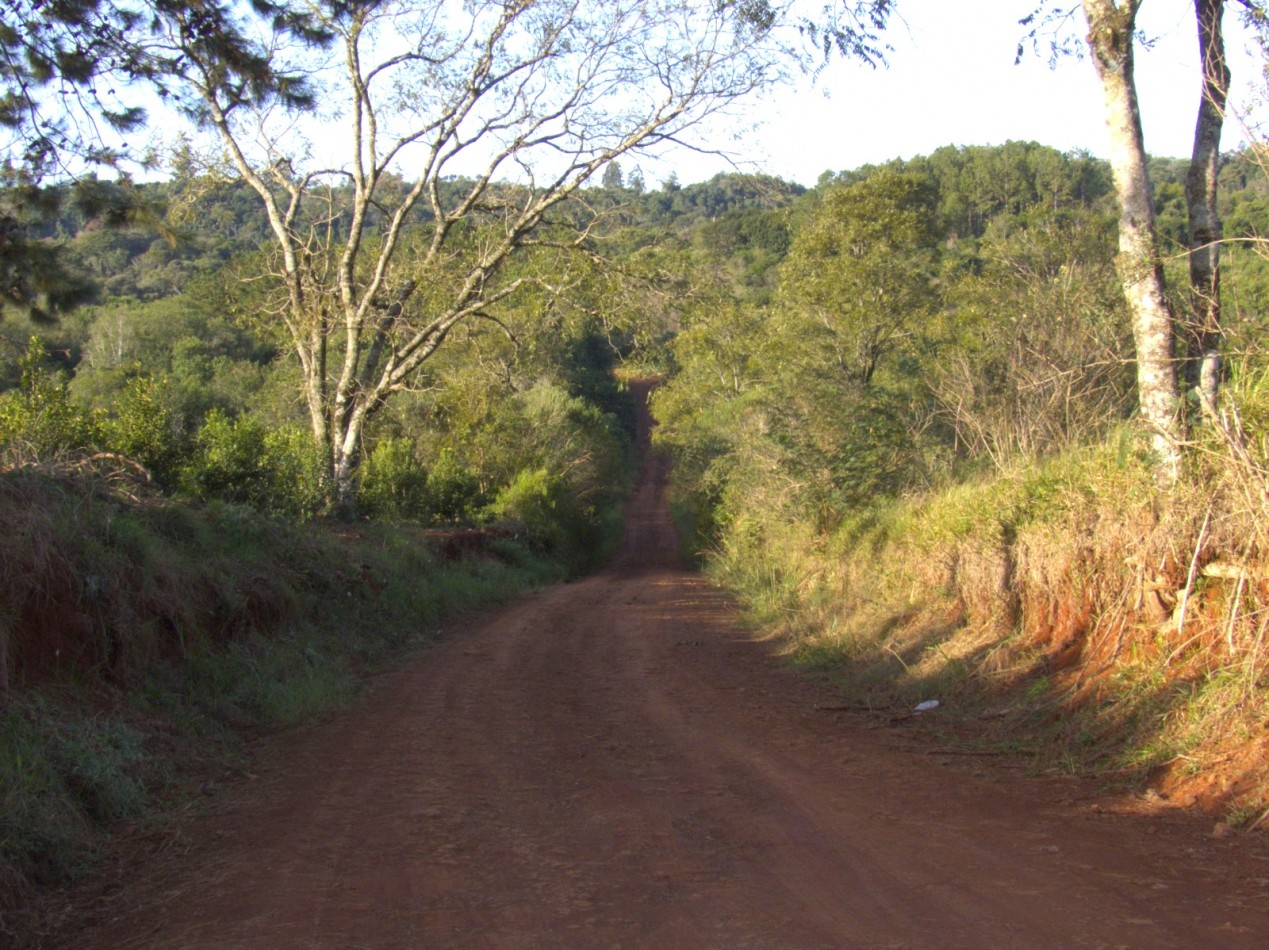 Chacra 22 Hectareas