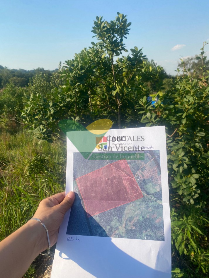 CHACRA 25 HECTAREAS