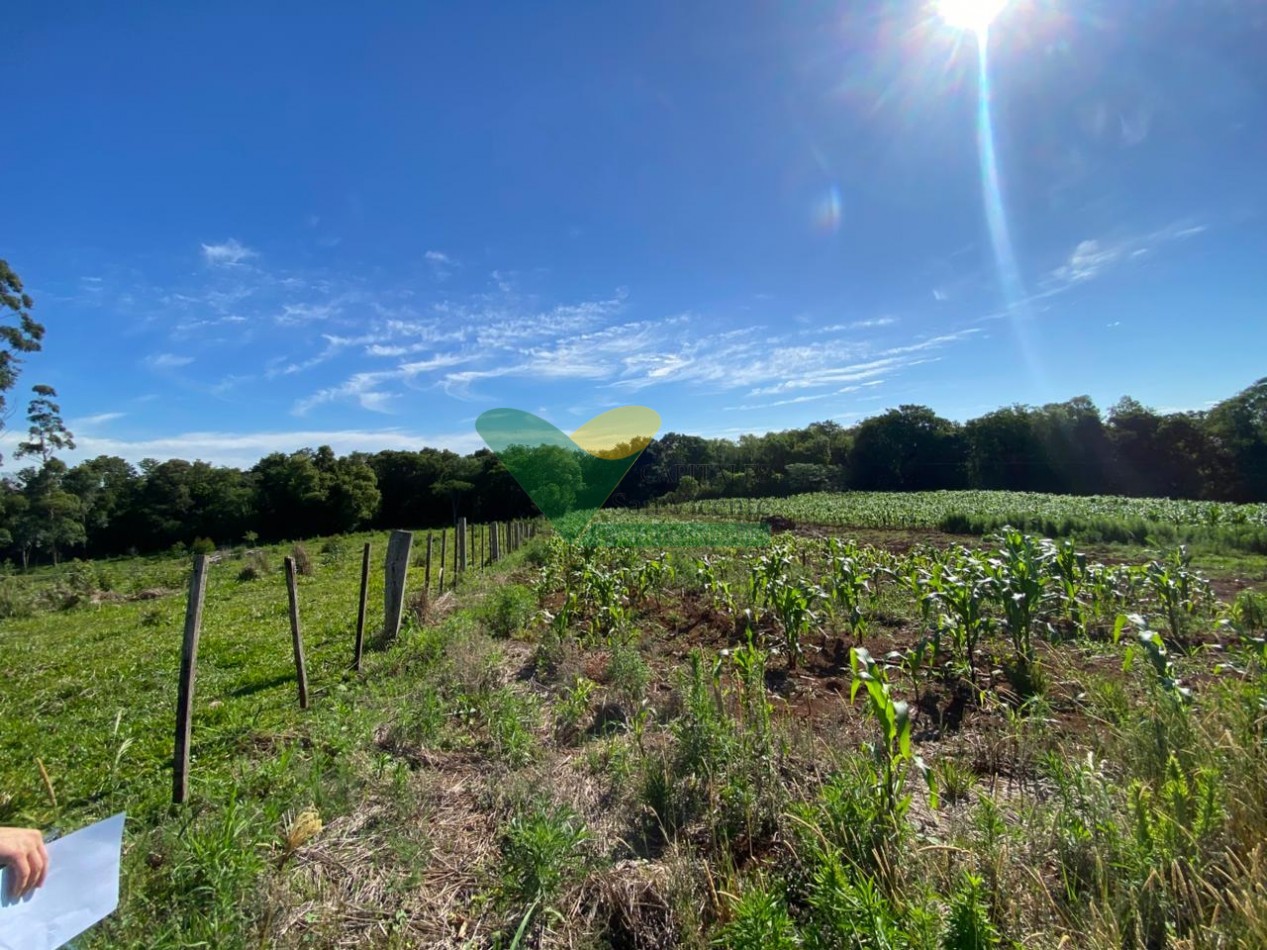 CHACRA 20 HA, PARAJE EL DORADITO