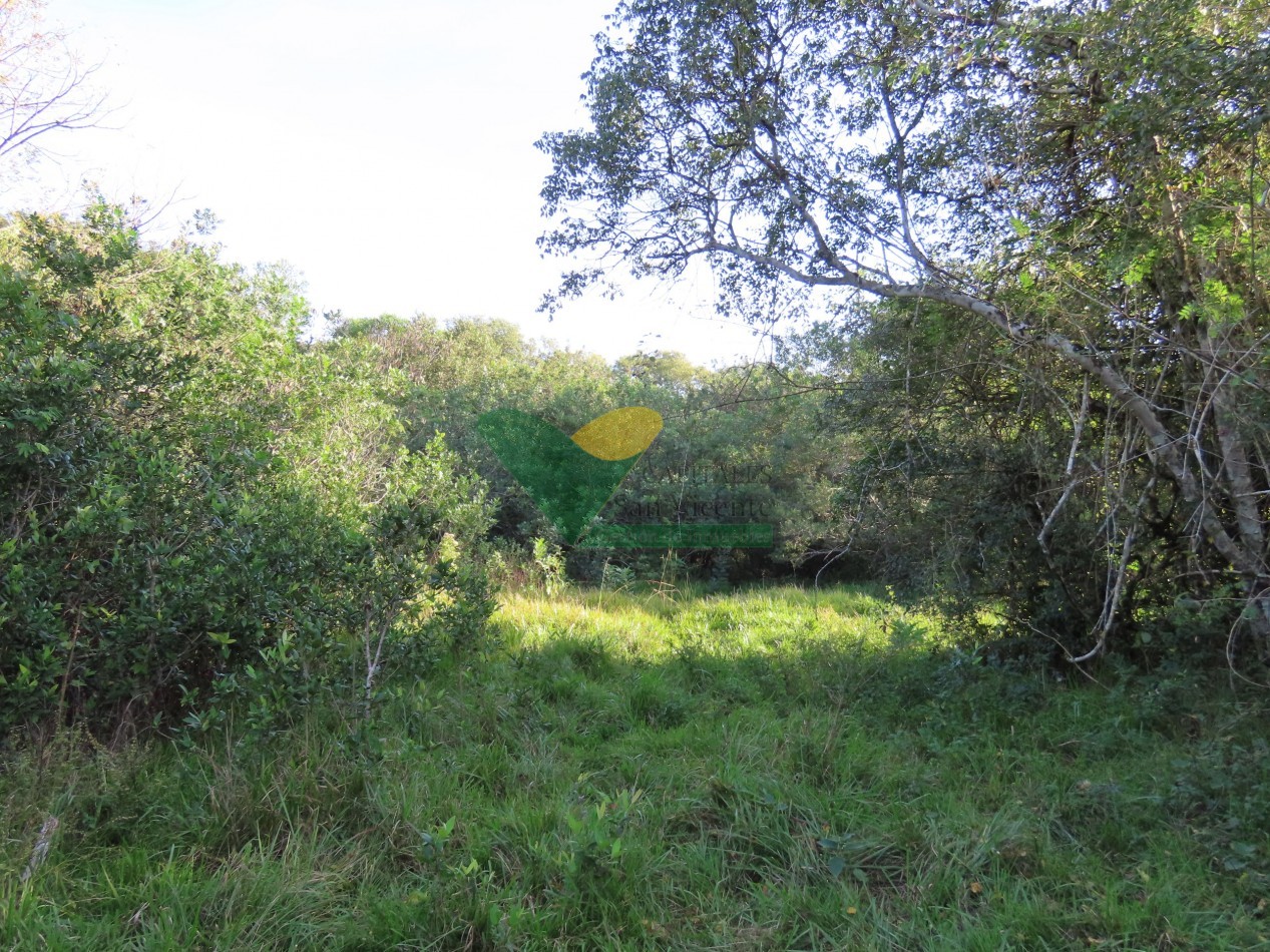 Chacra 22 Hectareas