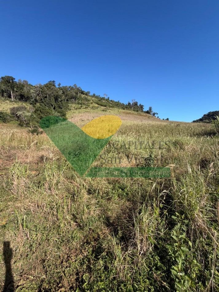 Chacra 15 Hectareas 