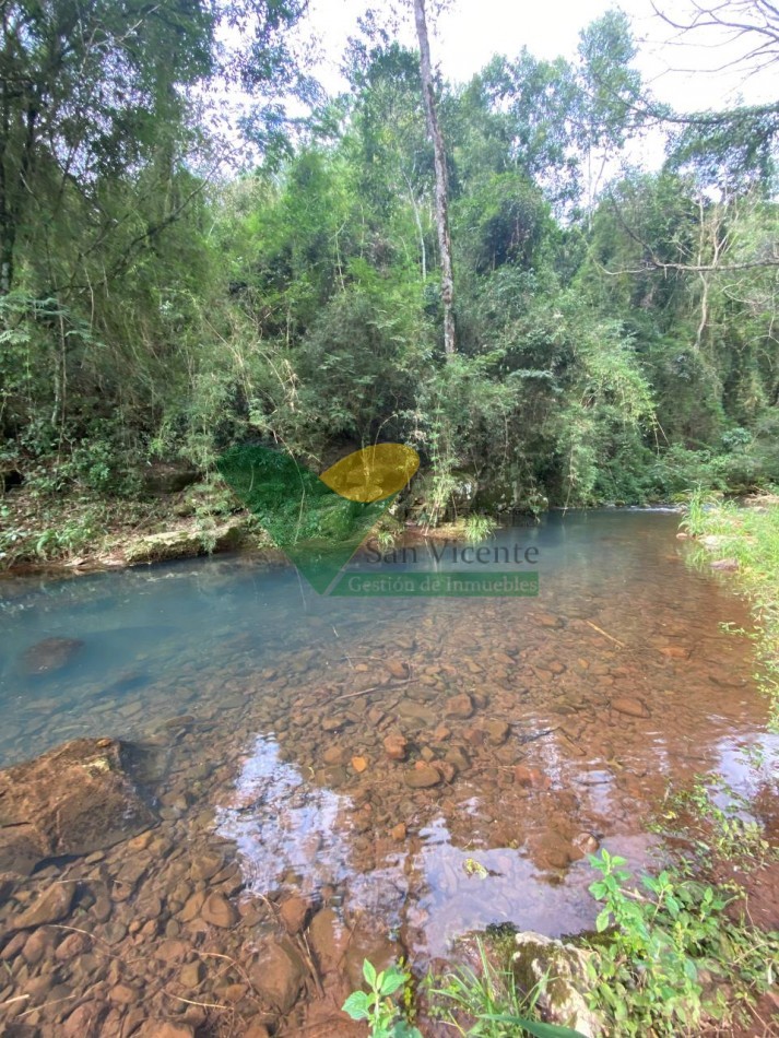 Chacra 95 ha