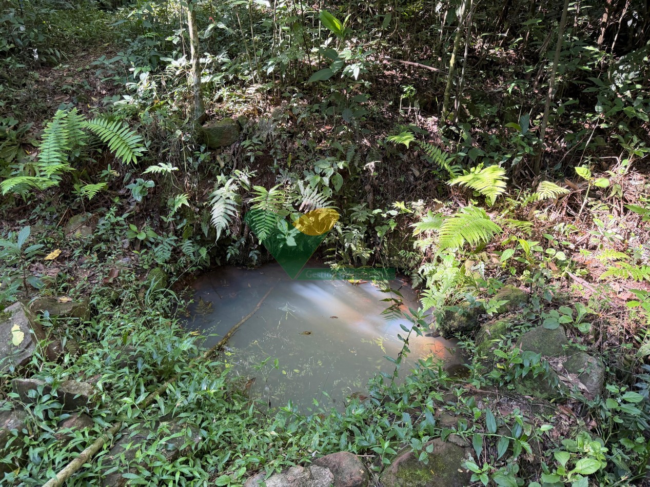 Chacra de 41 Hectareas en Pozo Azul