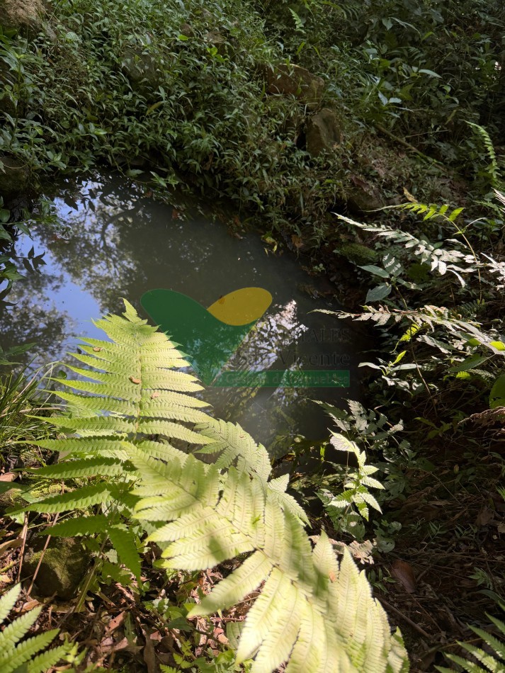 Chacra de 41 Hectareas en Pozo Azul