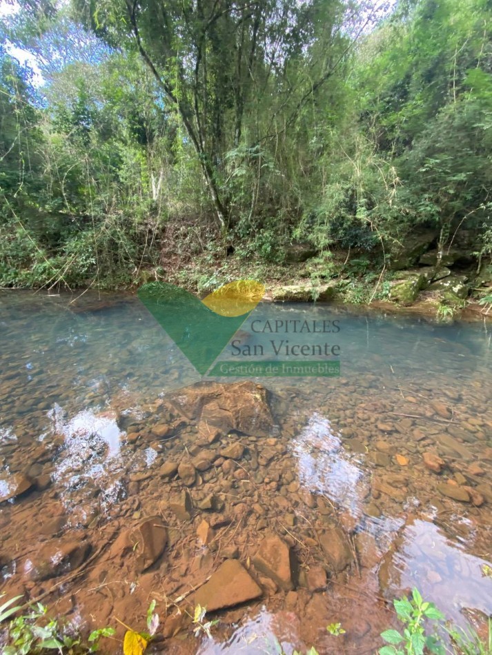 Chacra 95 ha