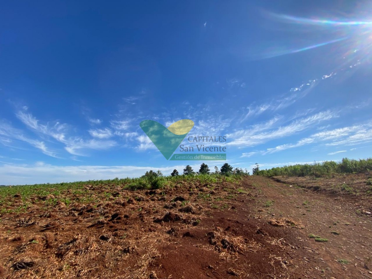 CHACRA 20 HA, PARAJE EL DORADITO