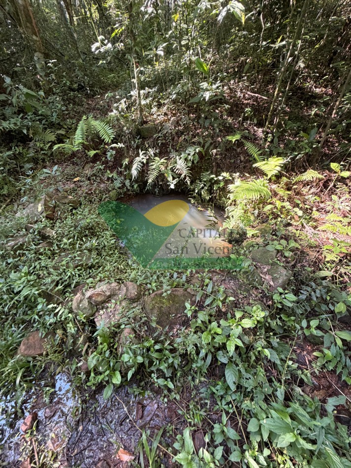 Chacra de 41 Hectareas en Pozo Azul