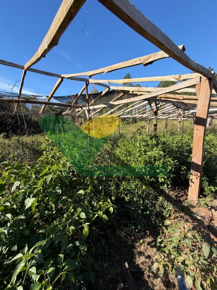 Chacra 15 Hectareas 