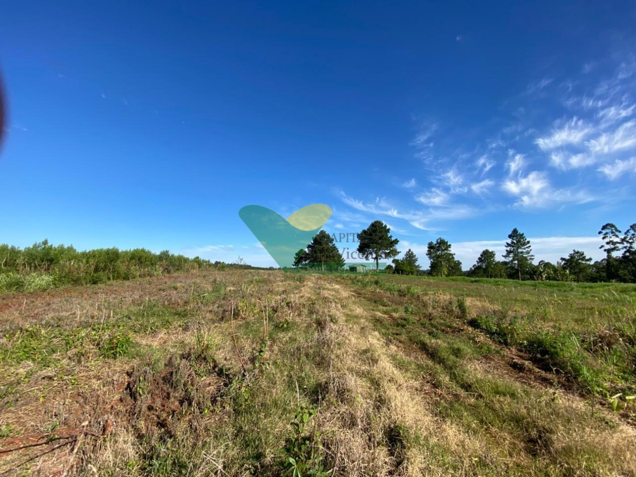 CHACRA 20 HA, PARAJE EL DORADITO