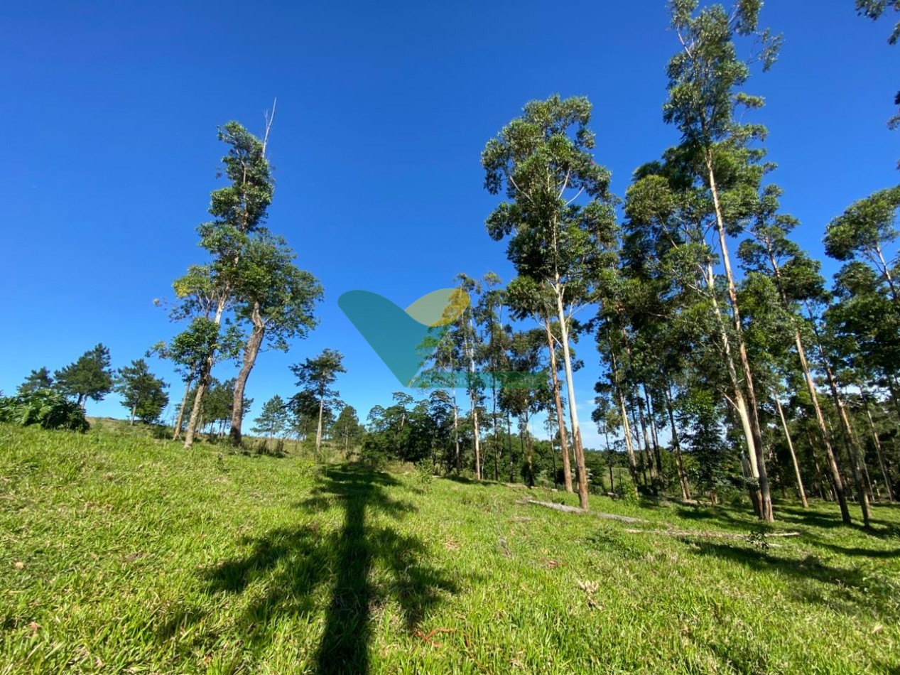 CHACRA 20 HA, PARAJE EL DORADITO