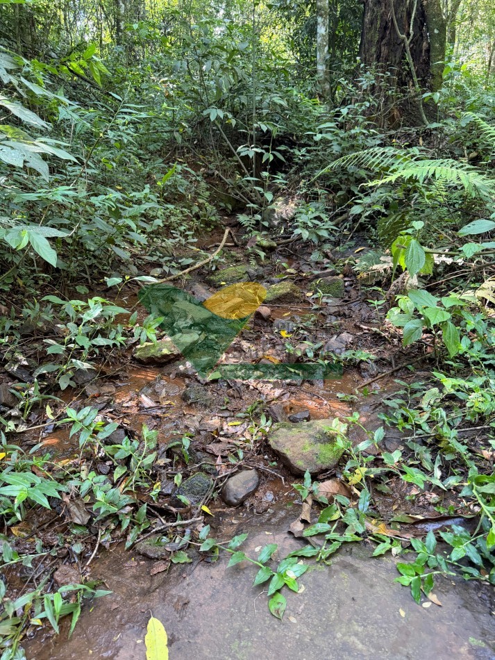 Chacra de 41 Hectareas en Pozo Azul
