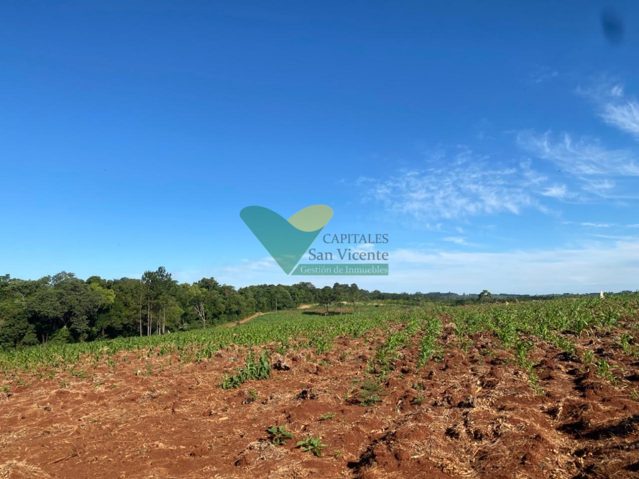 CHACRA 20 HA, PARAJE EL DORADITO