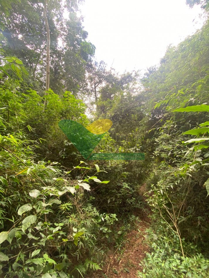 Chacra 95 ha