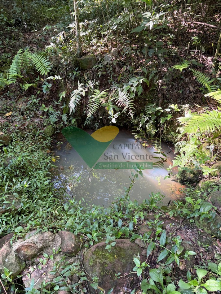 Chacra de 41 Hectareas en Pozo Azul