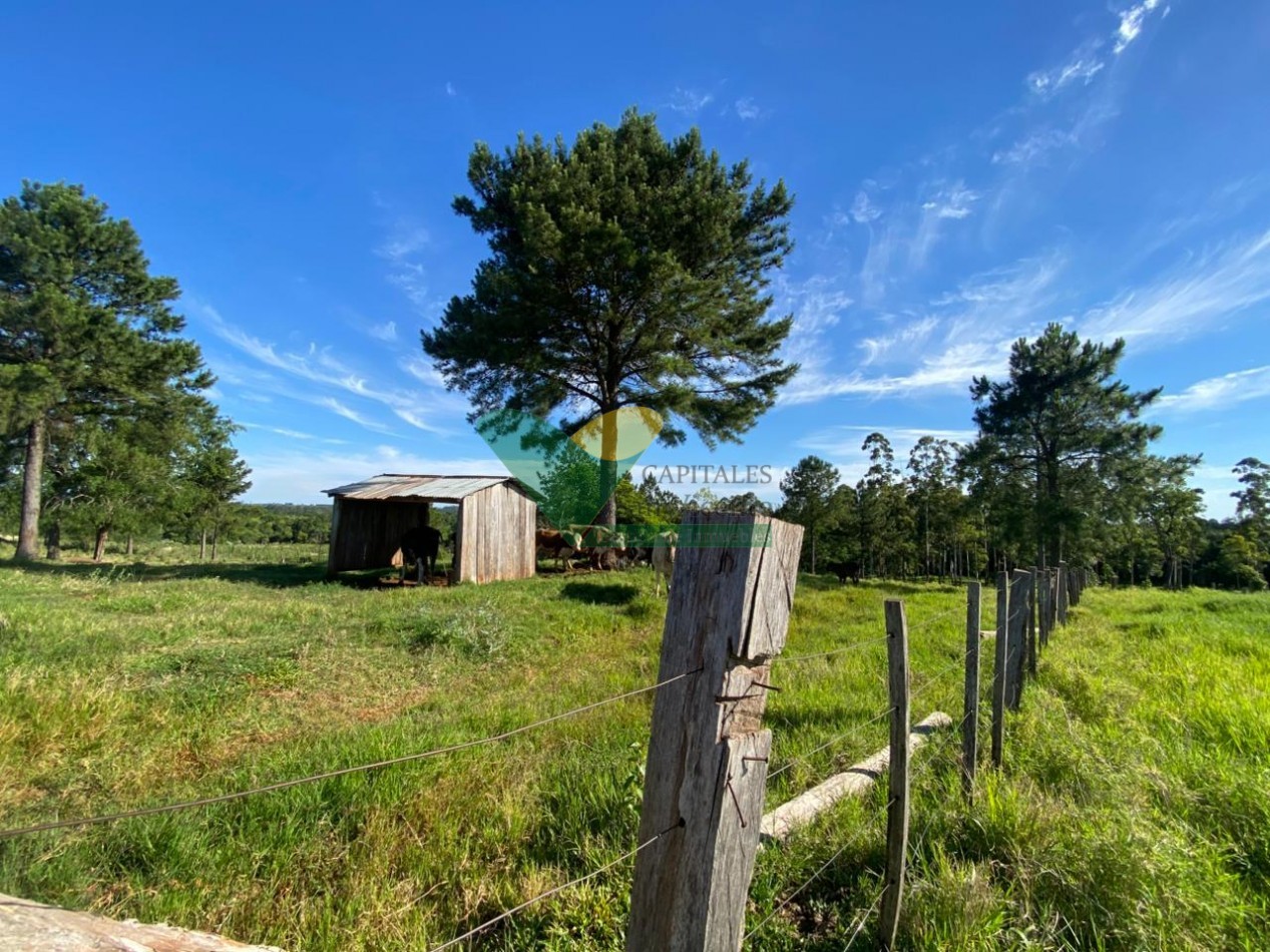 CHACRA 20 HA, PARAJE EL DORADITO