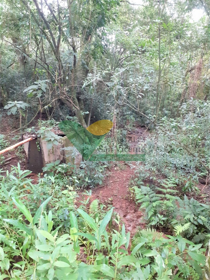 Chacra 53 Ha.