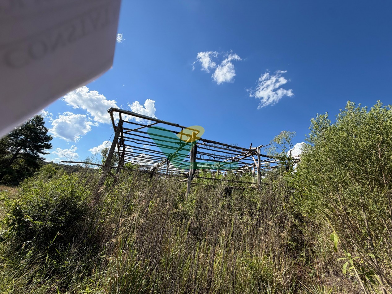 Chacra de 41 Hectareas en Pozo Azul