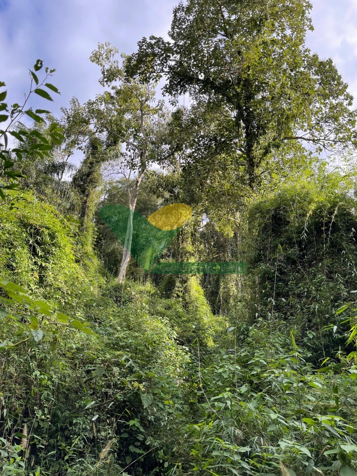 Chacra 95 ha