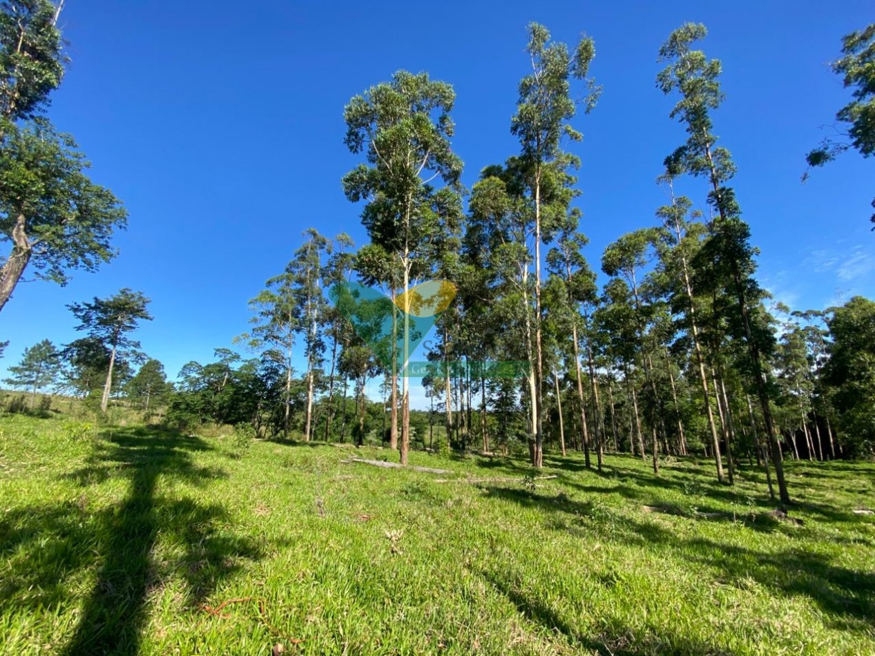 CHACRA 20 HA, PARAJE EL DORADITO