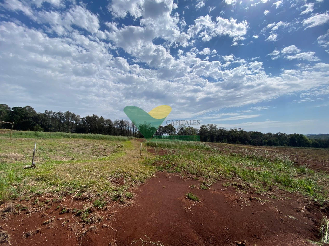 TERRENO EN SAN VICENTE
