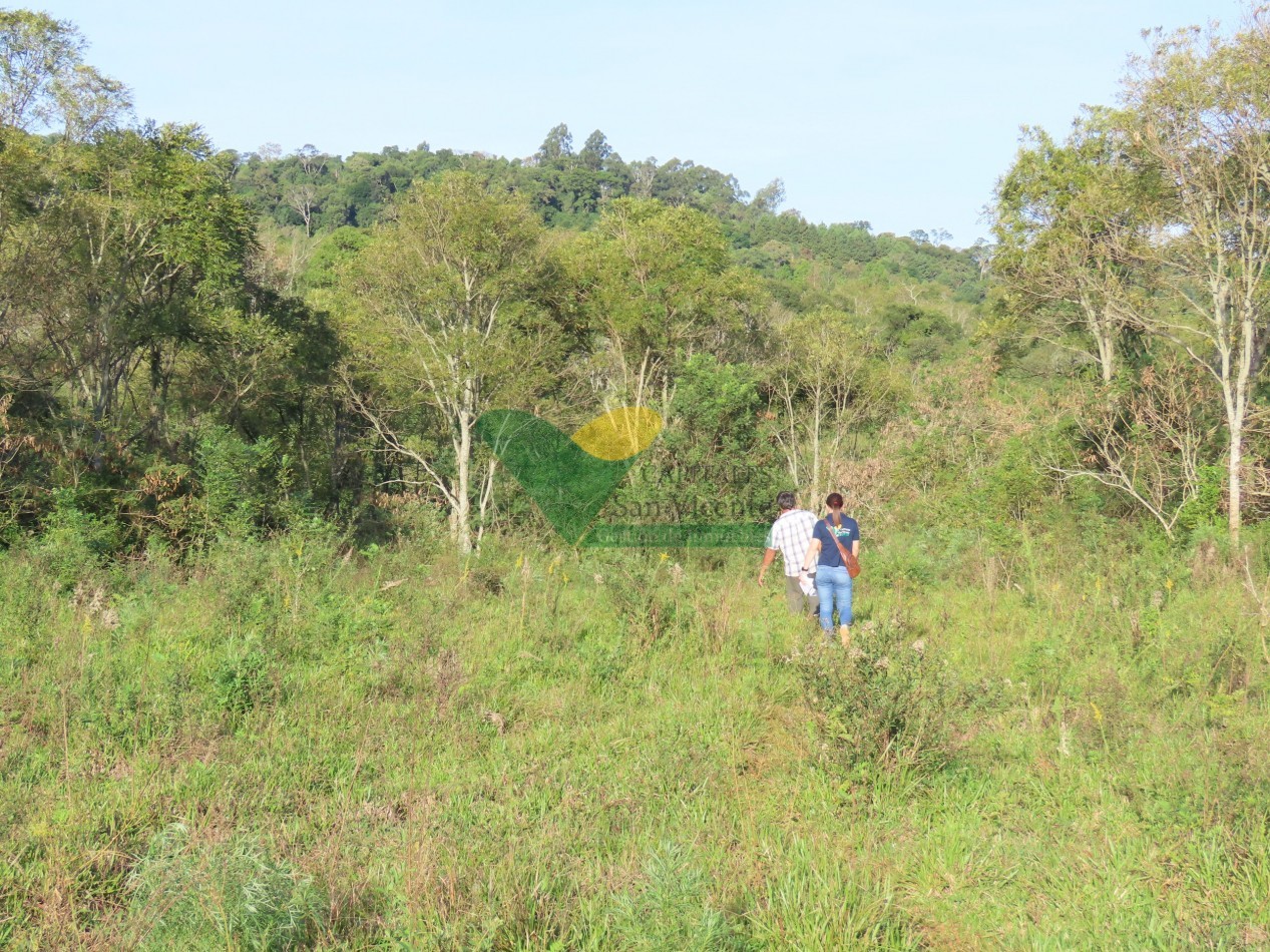 Chacra 22 Hectareas