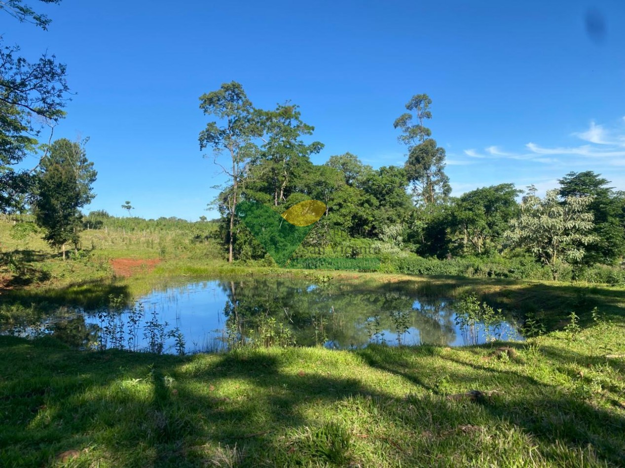 CHACRA 20 HA, PARAJE EL DORADITO