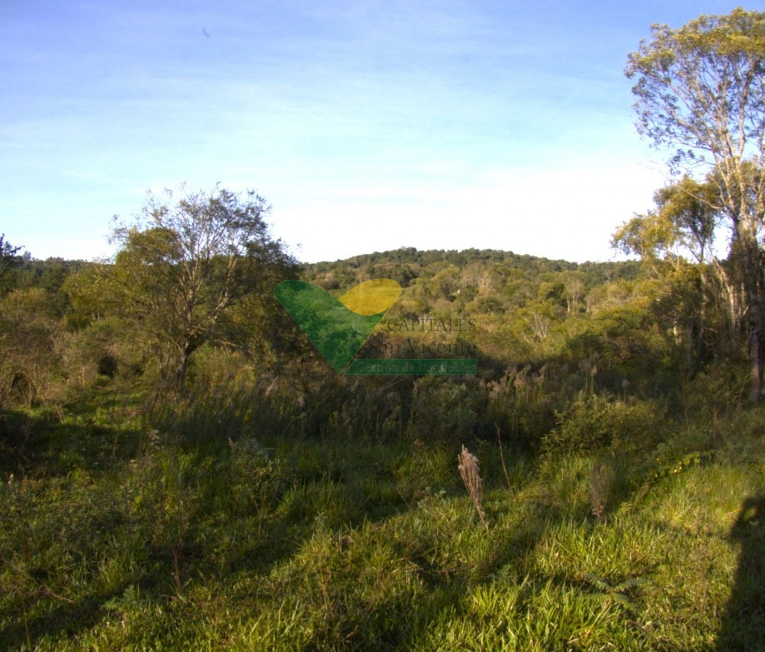 Chacra 22 Hectareas