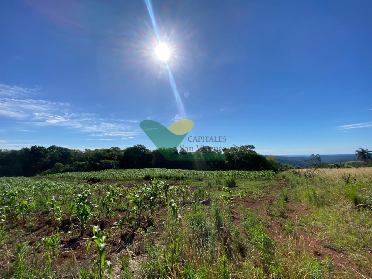 CHACRA 20 HA, PARAJE EL DORADITO