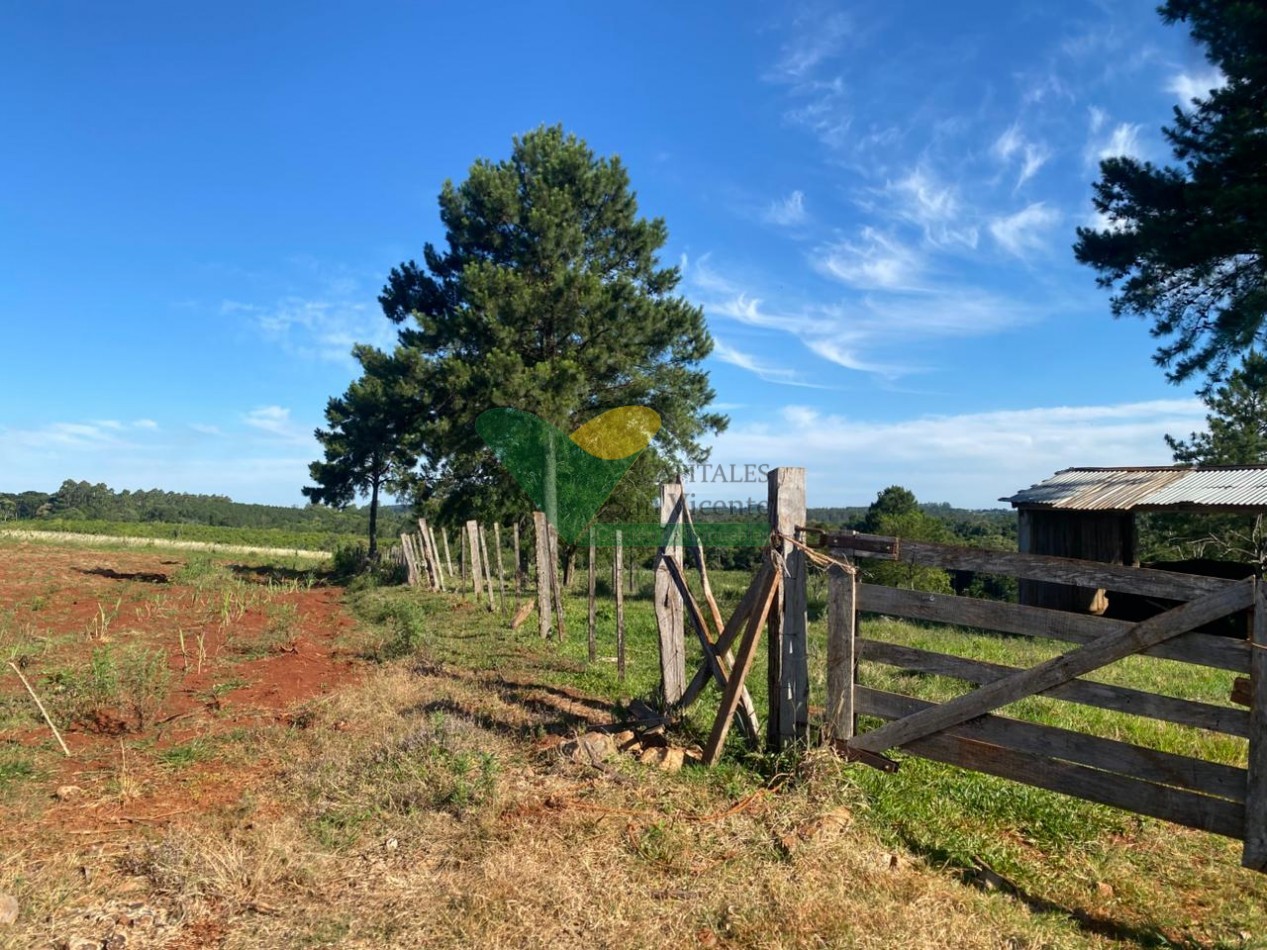 CHACRA 20 HA, PARAJE EL DORADITO