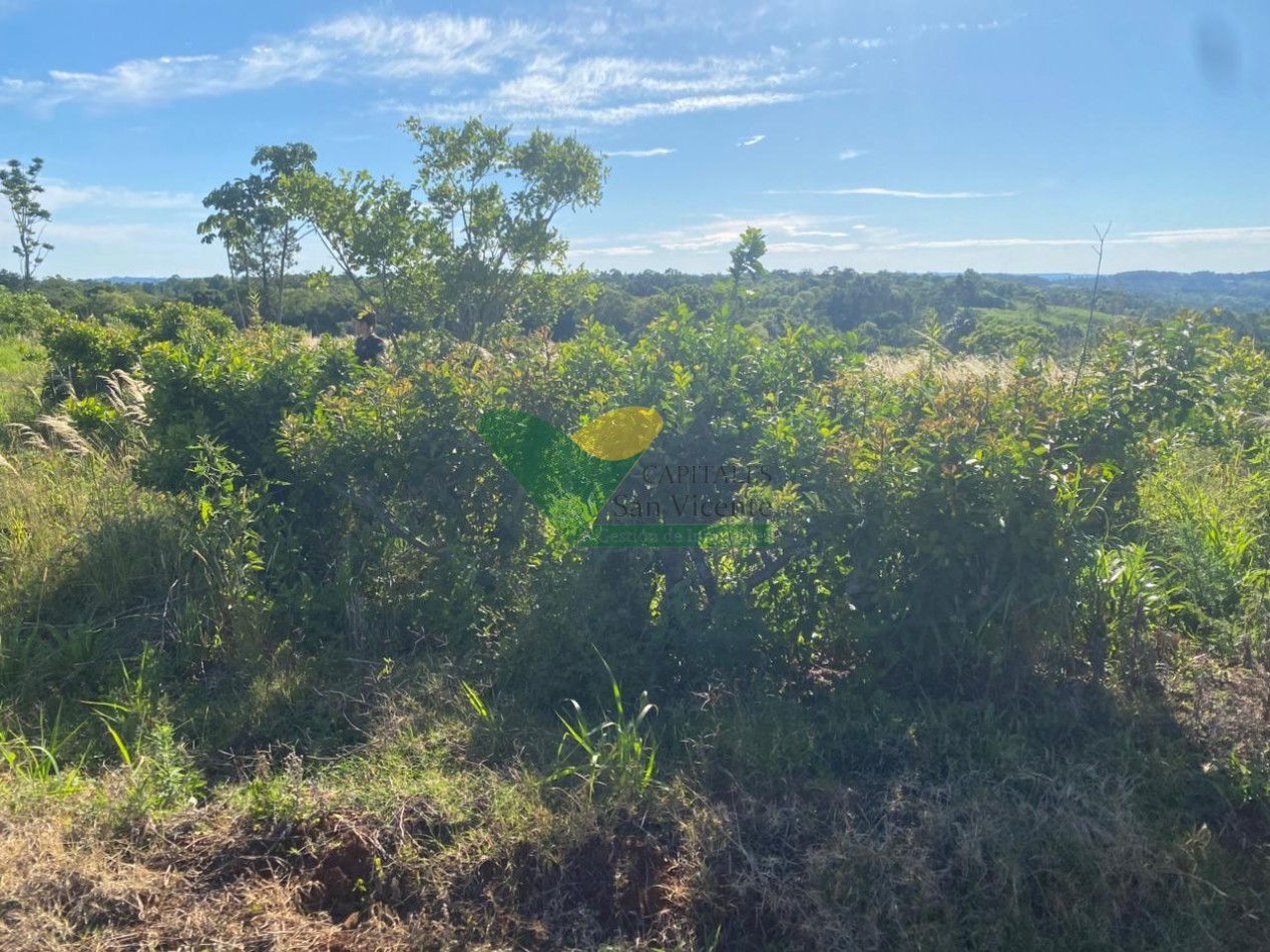 CHACRA 20 HA, PARAJE EL DORADITO