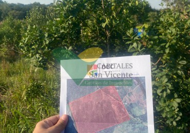 CHACRA 25 HECTAREAS